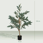 Árbol Verdolón como planta decorativa en una oficina