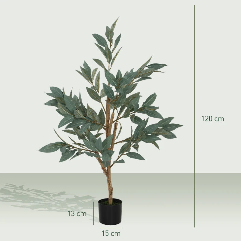 Árbol Verdolón como planta decorativa en una oficina