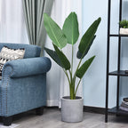 Palma Garrulona como planta decorativa en una oficina